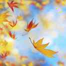 平平淡淡才是真