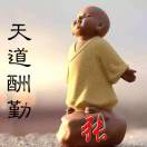 天道11