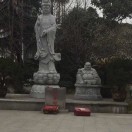 别问我是谁22309
