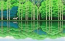 浩然正气45451