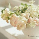 http://thirdwx.qlogo.cn/mmopen/vi_32/Q0j4TwGTfTKic0icb52ULkSw5iauUkj6f7WKaUnDmcmQJbOlJzjwyWDDJmGox5EBqts5KC3VVwJgTQFJZPXUQWntw/132