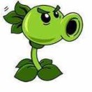 🎾 🎾 🎾 🎾 🎾 🎾