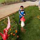 小四川猪肉配送《倪万彬》