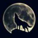 你若不离，我定不弃85646