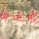 永诚财富王具财