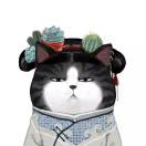 冬眠的貓