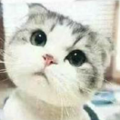 hhm0212's Avatar