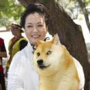 聶帥