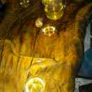 走自己的路,让别人说去