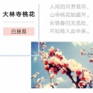 天晴的头像