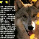chuanok