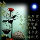 小来15956619518