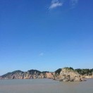 温州康牌林子新