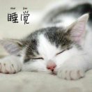 陈燕华