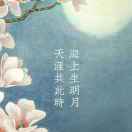 陈志云：（建阳兄弟木业）