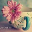 ᠰᠠᠷᠠᠭᠤᠯ