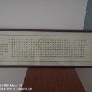 猪仔