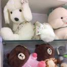 淑女不是姐的范er