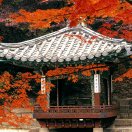 杨明