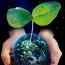 ꧁༺人海摆渡༻꧂