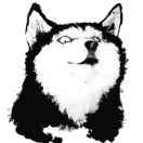 zengych's Avatar