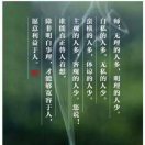 呆子11
