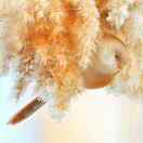 第二师焉耆医院神经内科 姚淑琴