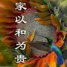 蓦然 回首