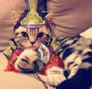 WQ