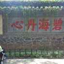 小海豚_57369891