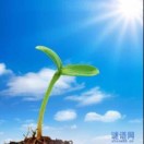 天亮以前