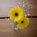 ゆ散落在回忆里的时光