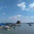 孔雀东南飞_1268