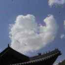 認(rèn)證設(shè)計(jì)師 - 姬帥