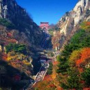 梦宇