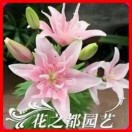 ✨百合✨的头像