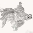 ?王琳?