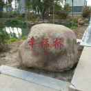 夏天的头像