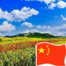 冯伟东