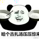 左文坛