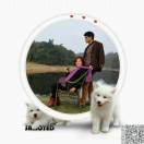 梦幻人生（杨彥鸿）