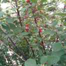 白天不懂夜的黑93685