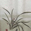 王不留行