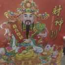 小海豚_48029193