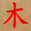 A_红橡榉木李信18955344930