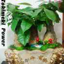 溢隆(徐生)13609705338