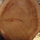 木头人 wood timber