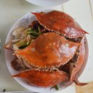 河北德亿源包装材料有限公司