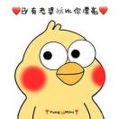 雞仔