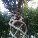 开心每一天94455